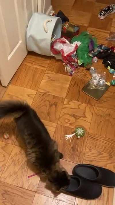 She had no remorse. None. Zip. Zero.Nil.