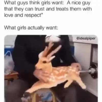 what girls actually want: