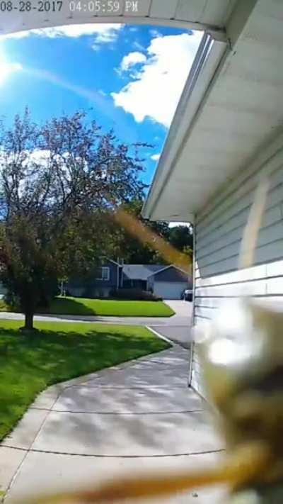 Someone forgot to tell this friendly little guy that grasshoppers don't wave to say hello