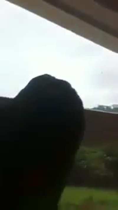 O time do Galo, Louro?