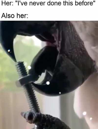 shhh quit talking baby