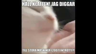 jag ner mammaa sa att maten var klar igår½!