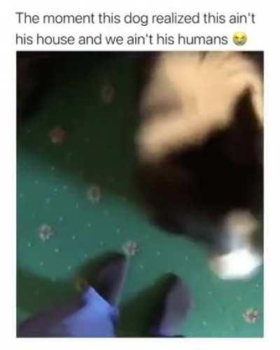 That little slip at the end...