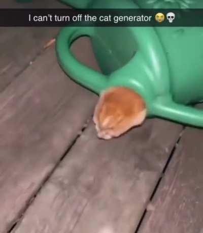 Cat generator