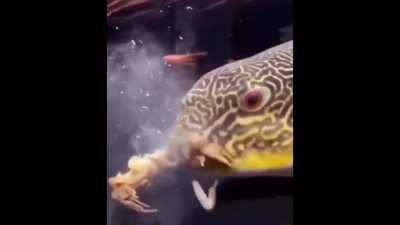 21st century humor that ...