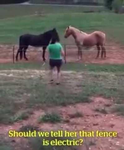 what did she expect?