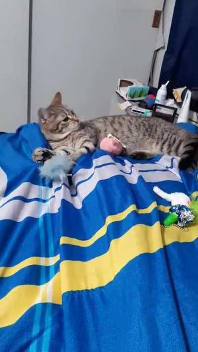 She had a miscatculation