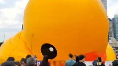 The Rubber Duck deflates (10x speedup)