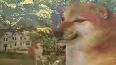 adorei esse vídeo e só queria alguém para compartilha-lo... DAME DA NE