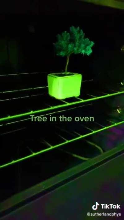 I can’t imagine how she must be handling it…