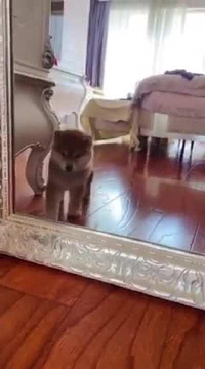 When you realize you got some cake