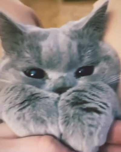 Cutest Thing To See For Today