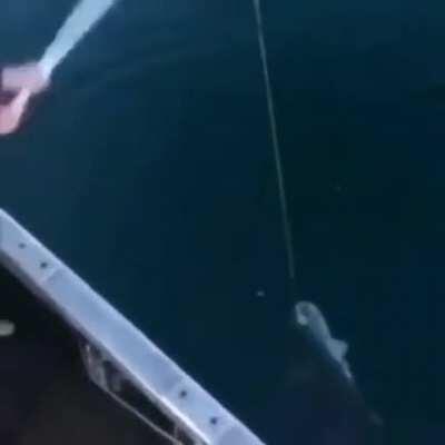 Pode carioca no grupo 👉👈😳