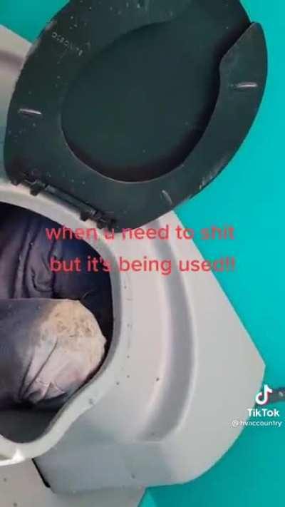 How’d ya get in there, bud?