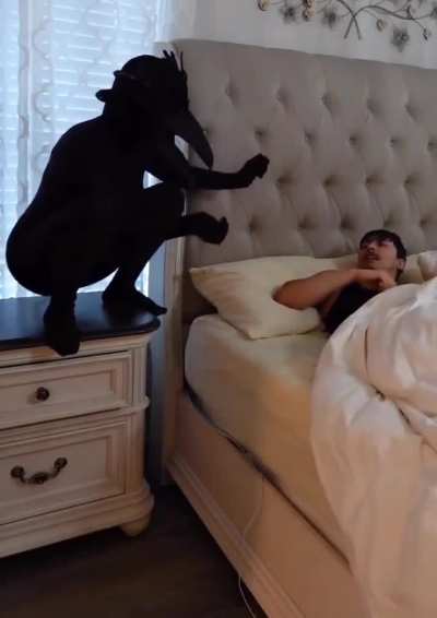 Por eso odio los corvidos