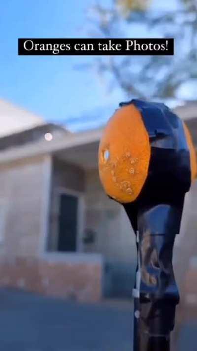 Oranges can take photos.