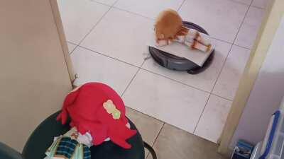 Zuramaru has found her Mirai