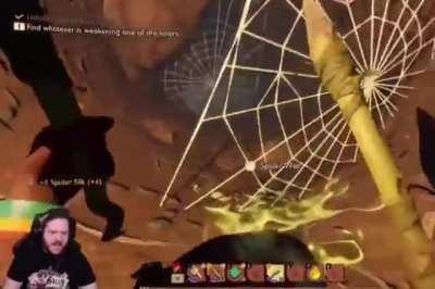 Messed with the wrong spider