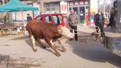 Triggering Endians since ancient times 💪💪💪