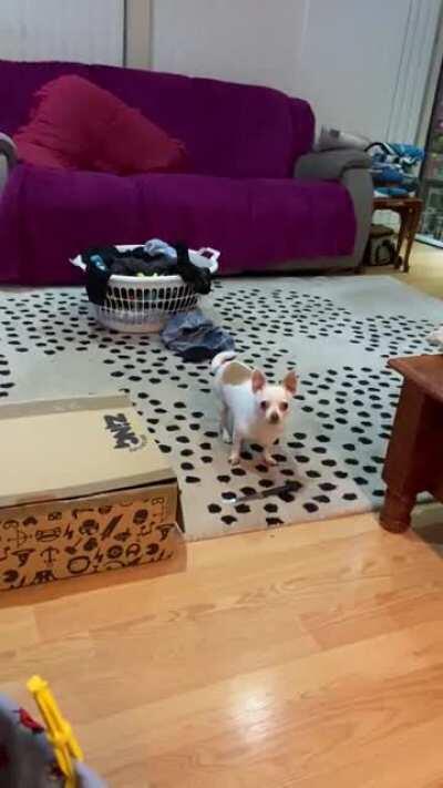 My dad sent me this, he said “I don’t know where the hell he got the knife from”