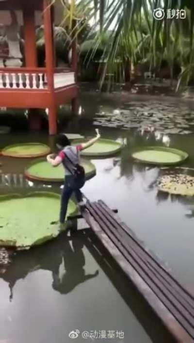 HMC, I will walk on the Victoria Regia