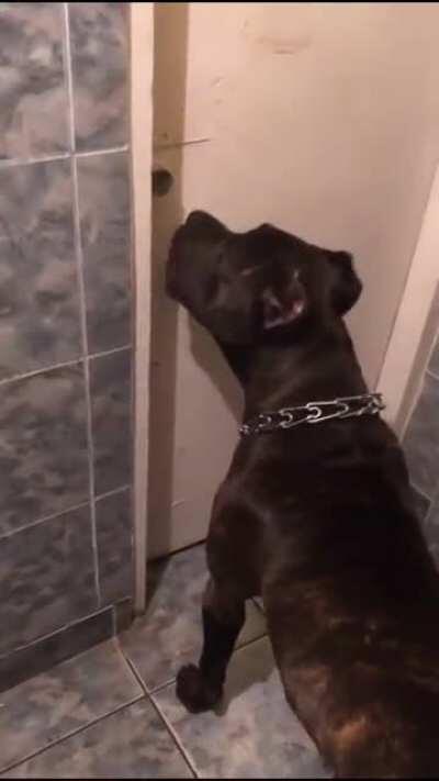 Bă, mai bagi la jocuri ???