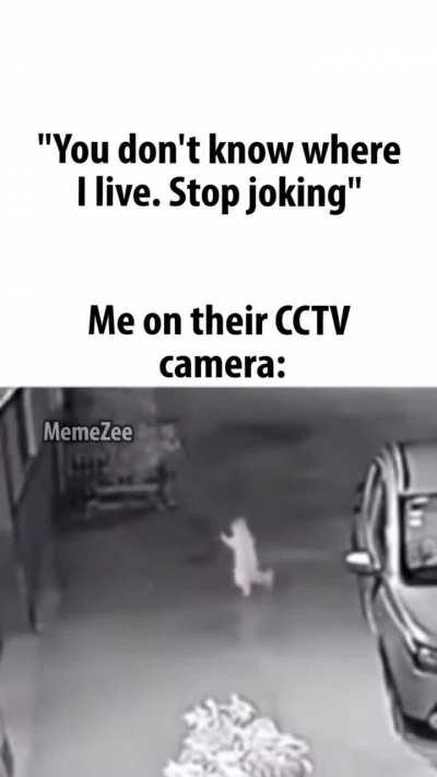 Average day on doxxcord 