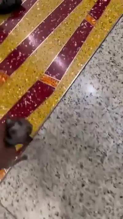 So tiny cutie pie 🥺