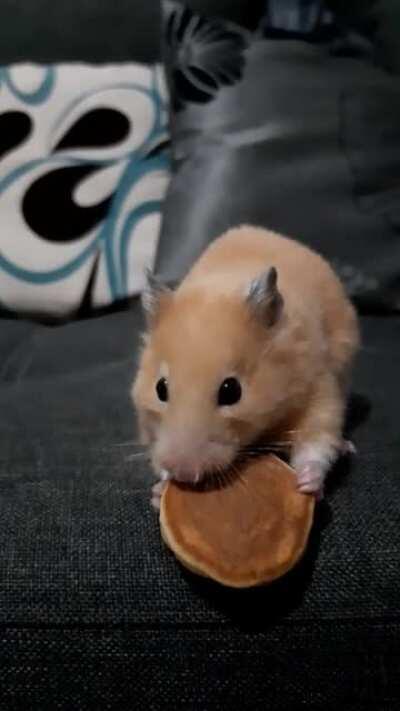 Saul really loves its pancakes