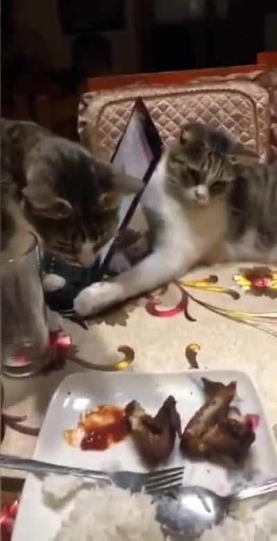 this little guy doesn't want to share with his brother