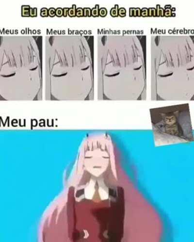 Queria saber o nome da música