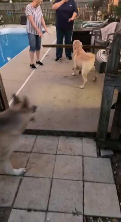 He’s very smart… when he wants to be