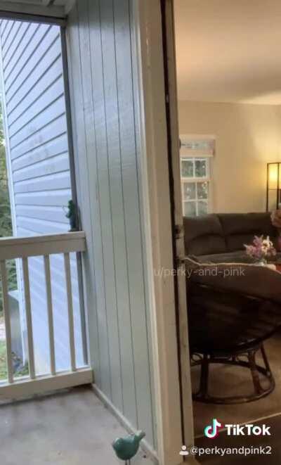 Lots of good ENF coming from tiktok lately