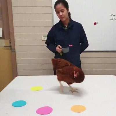 An interesting example of reinforcement learning