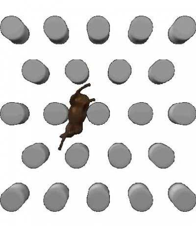 How the knight actually moves