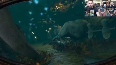 Bruce explains why whales die