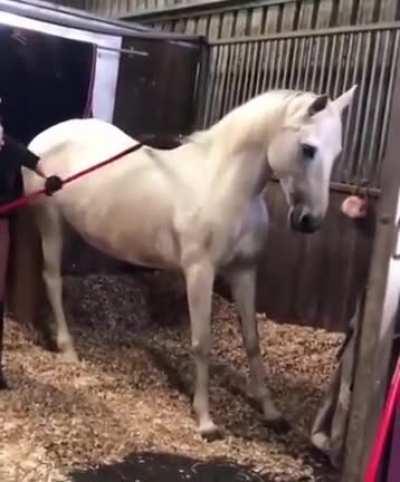 Ну почеши меня