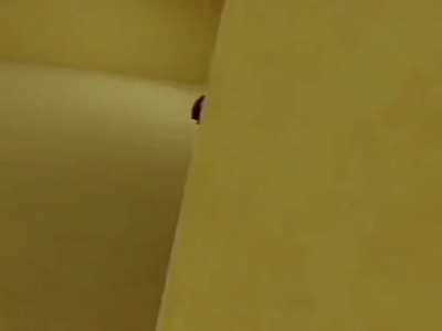 Nutbustercasino - Video #0435