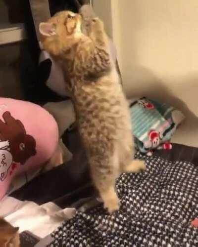 never let go of your dreams