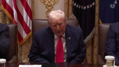 Trump on Somali immigrants: 