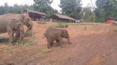 I can't believe you've done this.