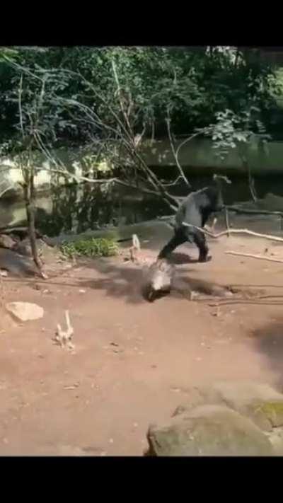 He fucked around and found out