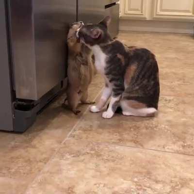 She met him as if he were her own son...