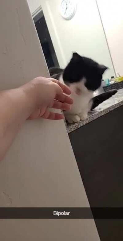 She has trouble deciding if she likes me sometimes.