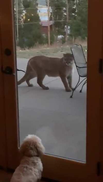 Интересное знакомство