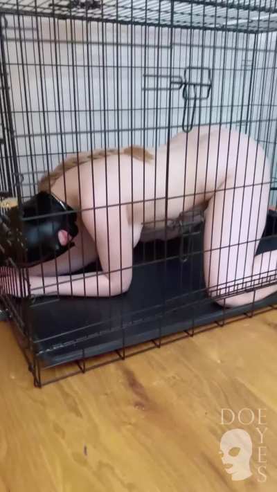 the right cage, the right chains… and suddenly, i’m exactly where i belong