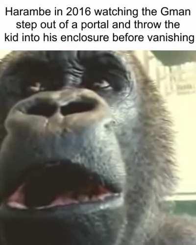 where reality changed forever