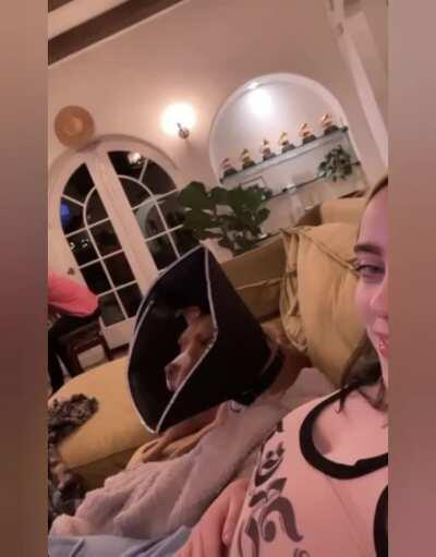 I'd do anything to have my rock hard cock between Billie Eilish's massive pale titties 😍