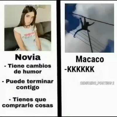MACACO KKKKKK