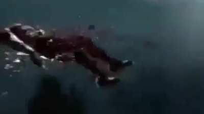 I'm 15 and this is yeet